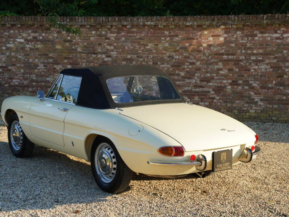 Bild 11/50 von Alfa Romeo 1600 Duetto (1967)