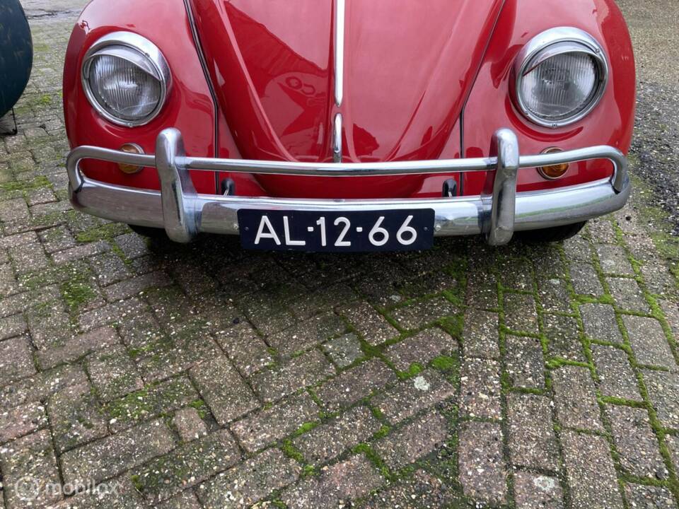 Bild 35/50 von Volkswagen Maggiolino 1500 (1967)