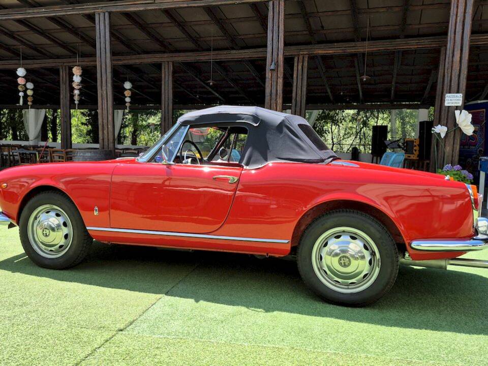 Image 66/71 of Alfa Romeo Giulietta Spider (1961)