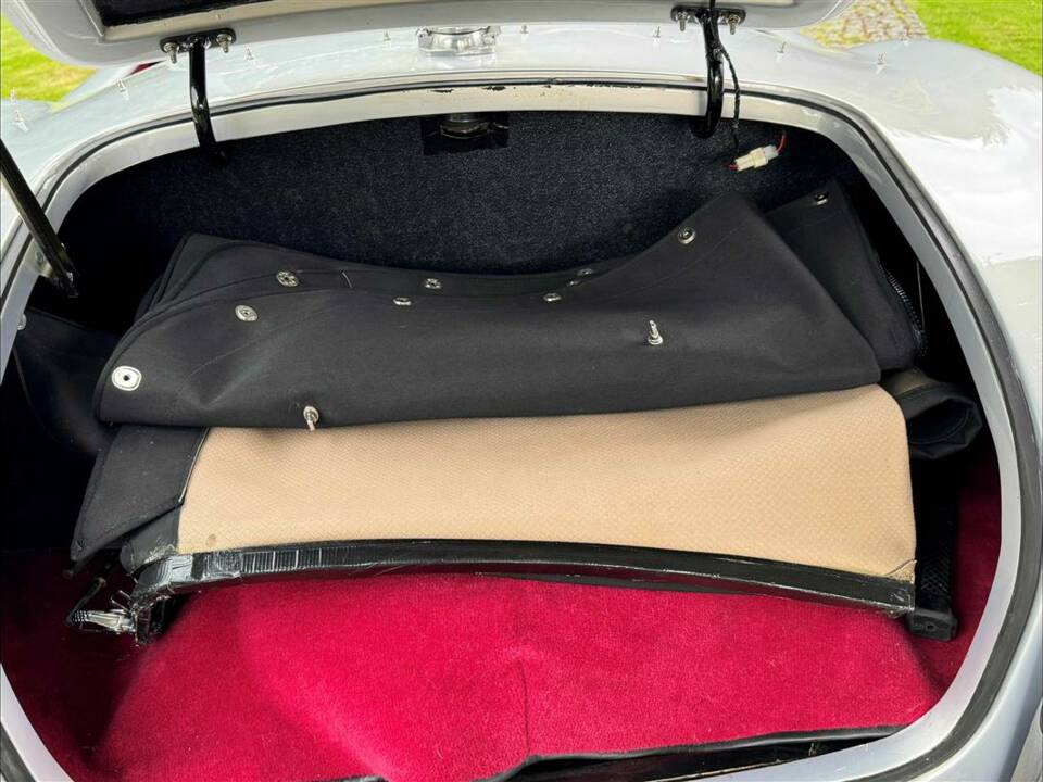 Bild 22/24 von AC Cobra 289 (2001)