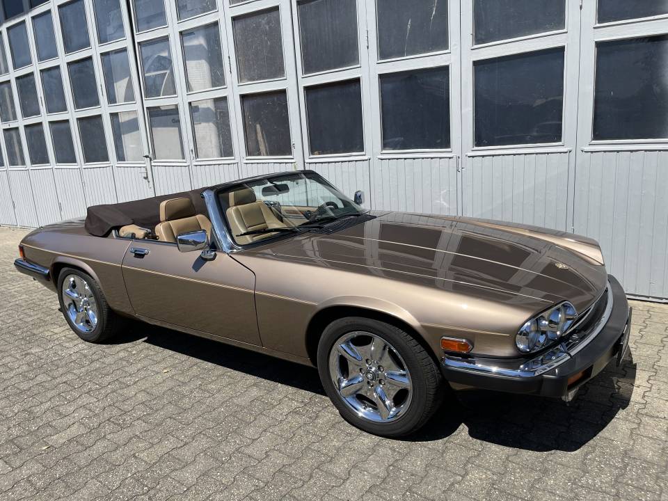 Bild 24/42 von Jaguar XJ-S Convertible (1989)
