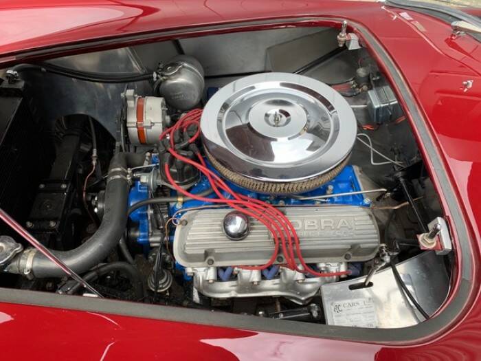 Imagen 32/40 de AC Ace Bristol (1956)
