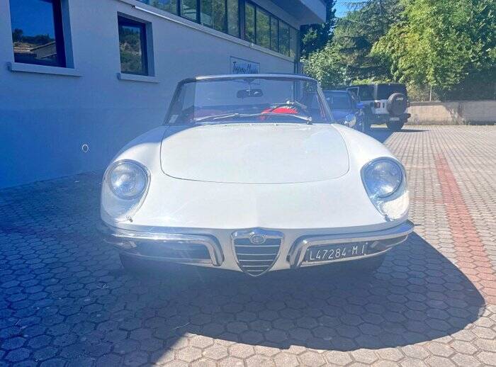 Afbeelding 4/7 van Alfa Romeo 1600 Spider Duetto (1967)