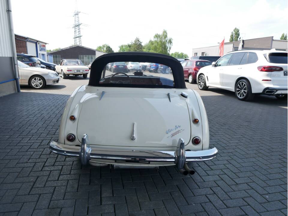 Bild 5/29 von Austin-Healey 3000 Mk III (BJ8) (1966)