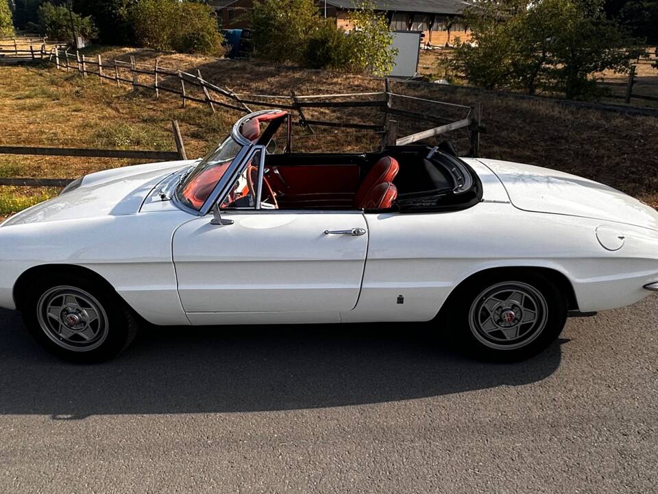 Afbeelding 2/19 van Alfa Romeo 1750 Spider (1969)