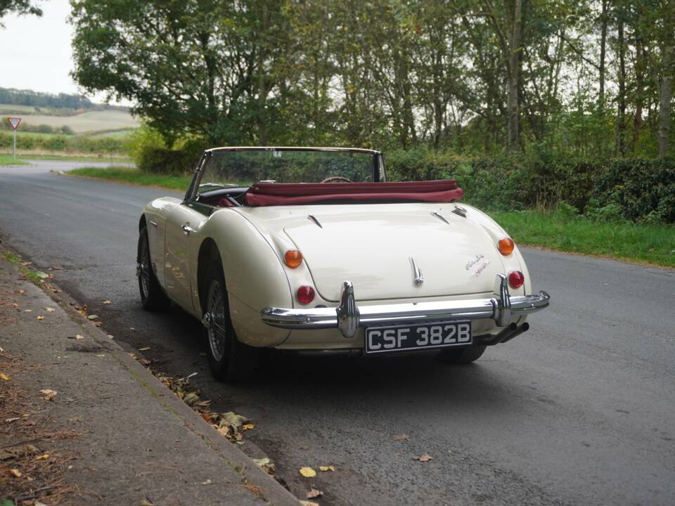 Immagine 4/25 di Austin-Healey 3000 Mk III (BJ8) (1964)