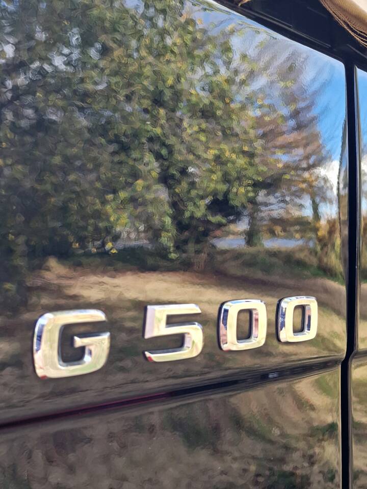 Immagine 23/92 di Mercedes-Benz G 500 Final Edition 200 (2013)
