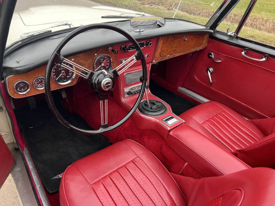 Immagine 2/8 di Austin-Healey 3000 Mk III (BJ8) (1964)