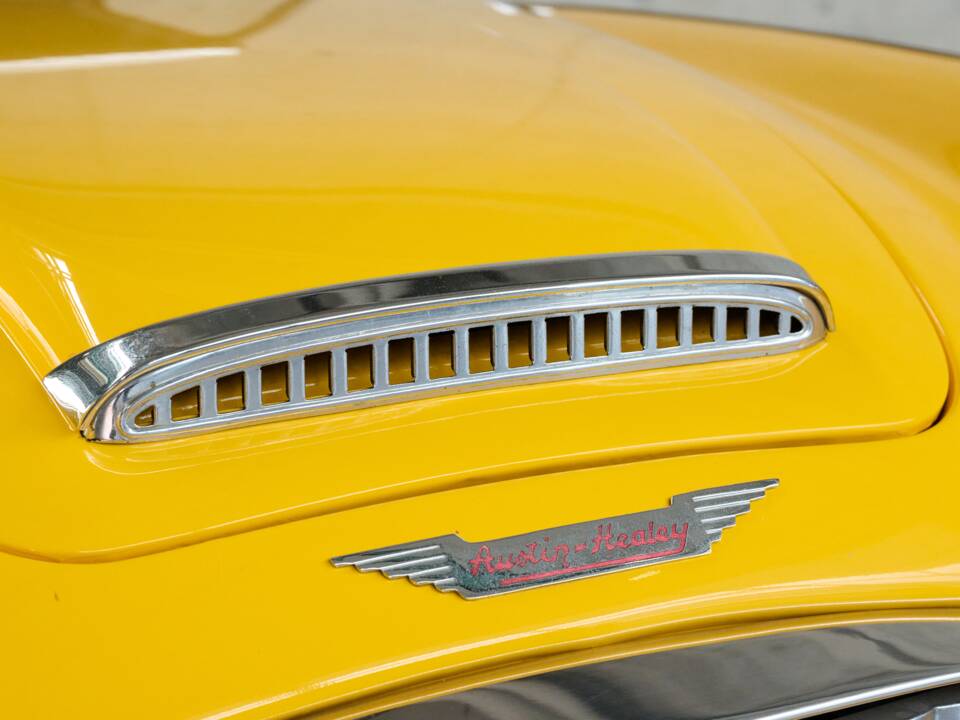 Bild 36/50 von Austin-Healey 100/6 (BN4) (1957)