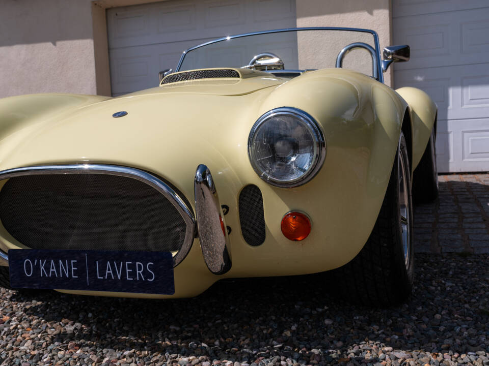 Bild 14/51 von AC Cobra 289 (1999)