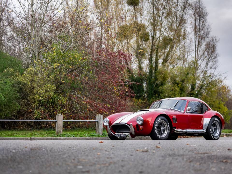 Afbeelding 16/50 van AC Cobra 289 (2000)