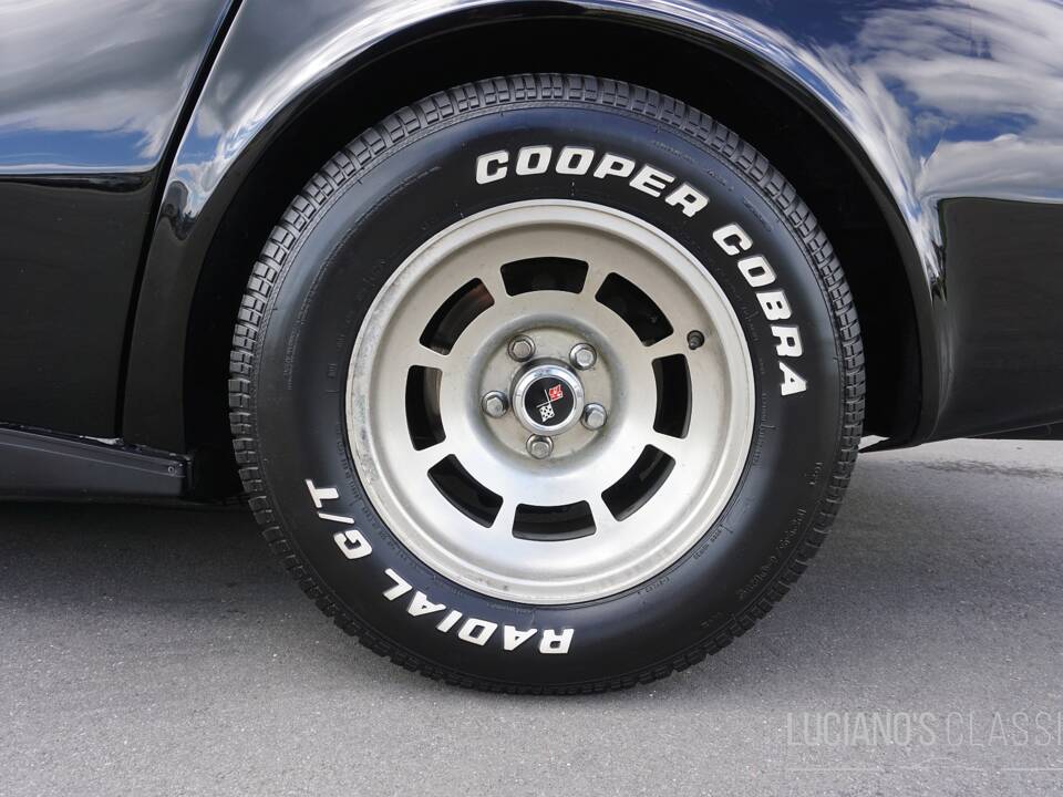 Bild 20/58 von Chevrolet Corvette Sting Ray (1979)
