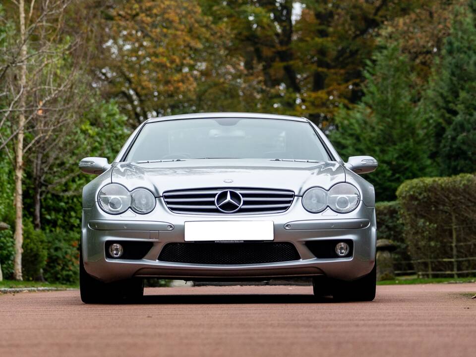 Bild 6/41 von Mercedes-Benz SL 65 AMG (2004)