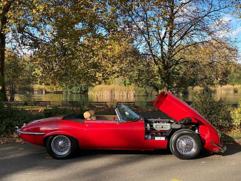Bild 46/50 von Jaguar E-Type V12 (1973)