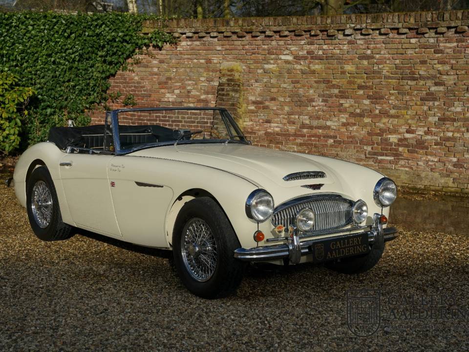 Imagen 26/50 de Austin-Healey 3000 Mk II (BJ7) (1963)