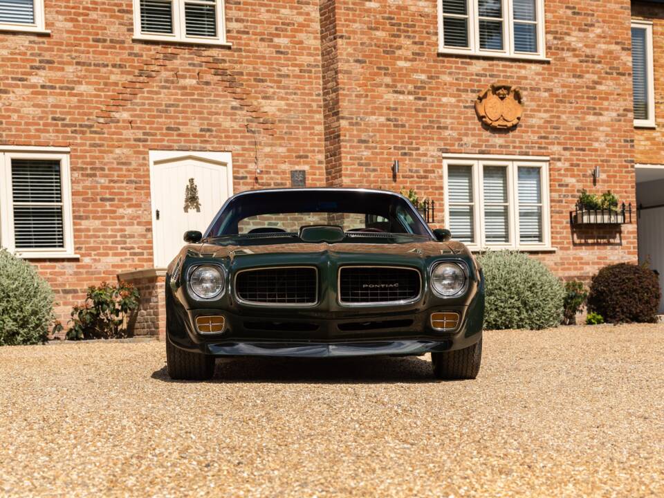 Immagine 6/49 di Pontiac Firebird TransAm (1973)
