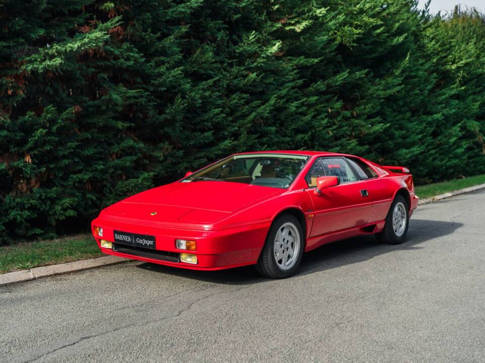 Image 12/22 of Lotus Esprit Turbo HC (1989)