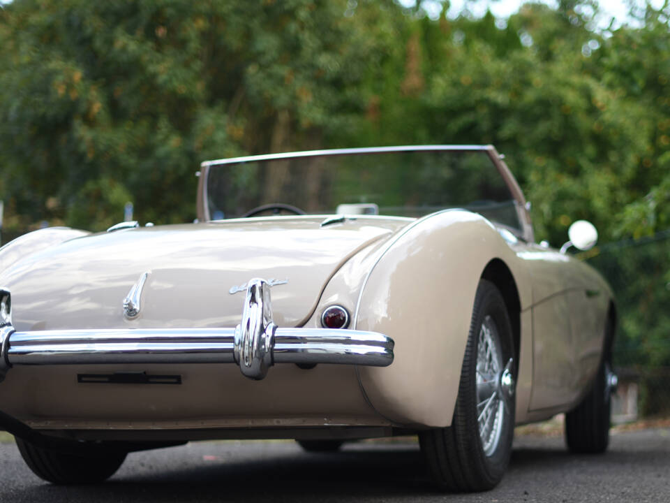 Bild 3/5 von Austin-Healey 100&#x2F;4 (BN1) (1954)