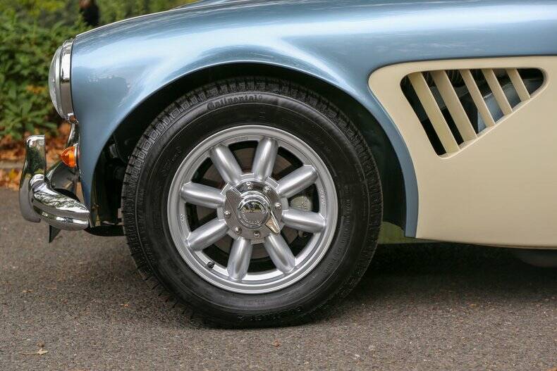 Immagine 25/42 di Austin-Healey 3000 Mk II (BN7) (1961)