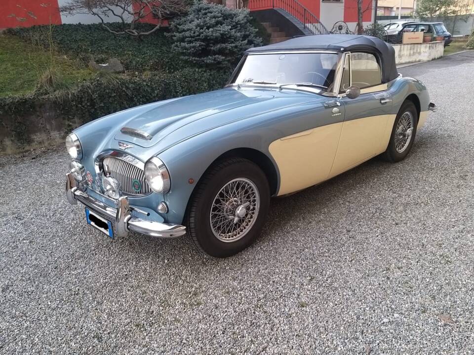 Afbeelding 1/14 van Austin-Healey 3000 Mk II (BJ7) (1963)