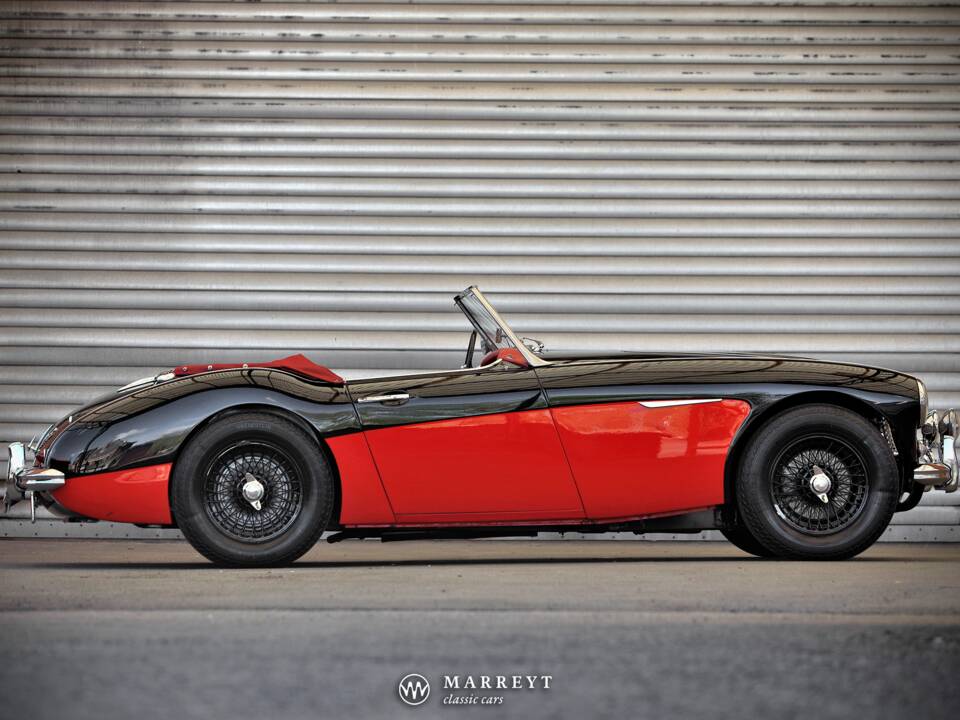 Immagine 6/68 di Austin-Healey 3000 Mk I (BT7) (1959)