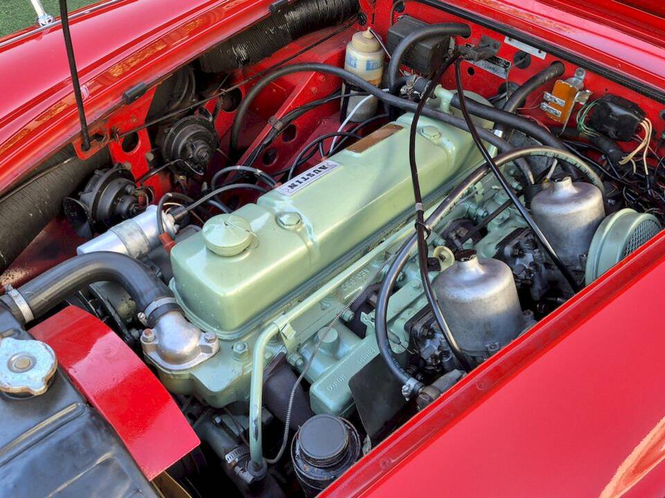 Imagen 36/53 de Austin-Healey 3000 Mk III (BJ8) (1965)