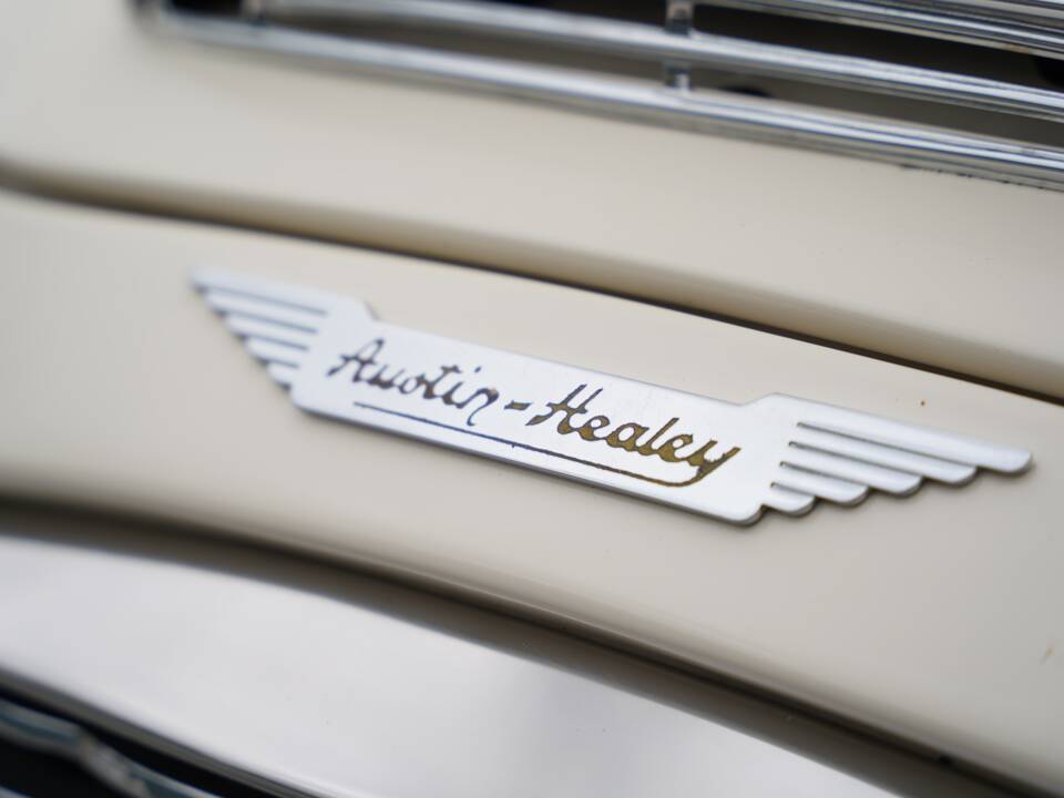 Image 31/50 of Austin-Healey 100&#x2F;6 (BN6) (1958)