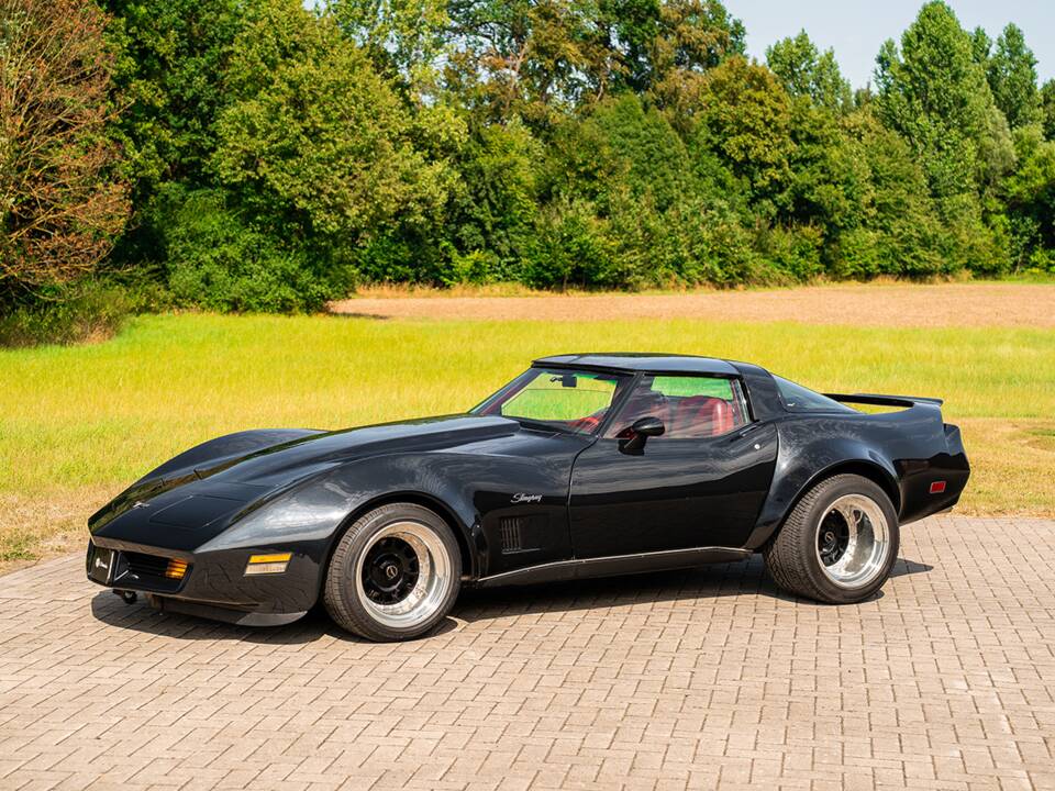 Immagine 1/42 di Chevrolet Corvette Sting Ray (1980)