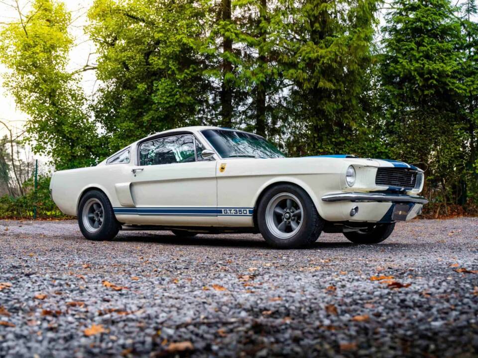 Image 5/27 of Ford Shelby GT 350 (1966)