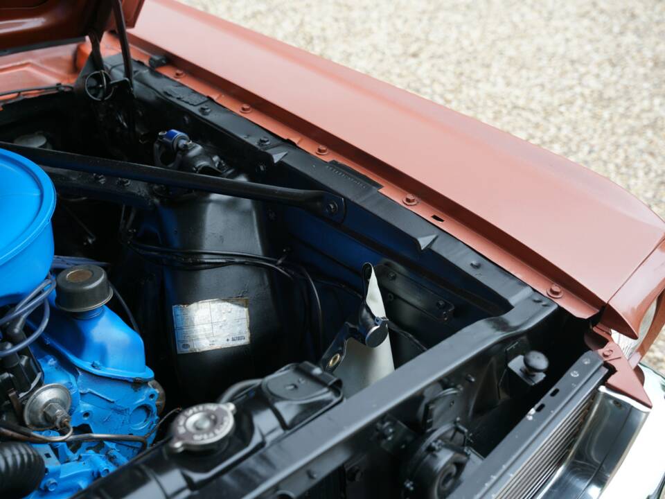 Bild 24/50 von Ford Mustang 289 (1966)