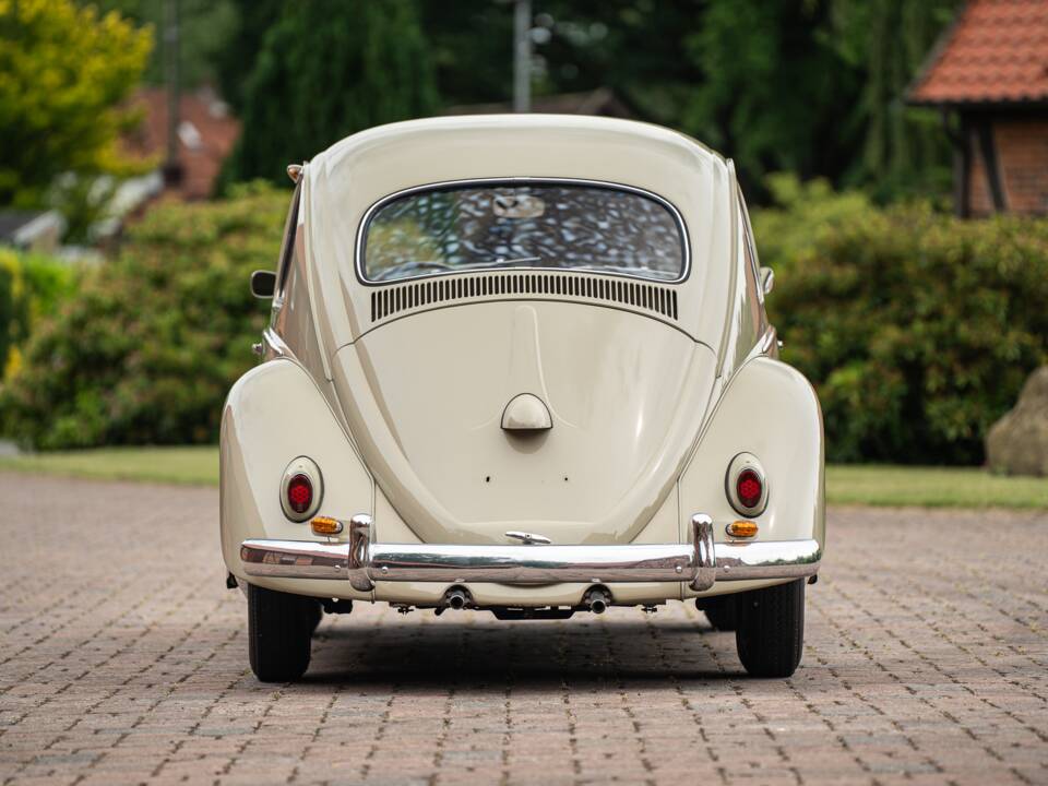 Bild 16/71 von Volkswagen Käfer 1200 Standard "Dickholmer" (1959)