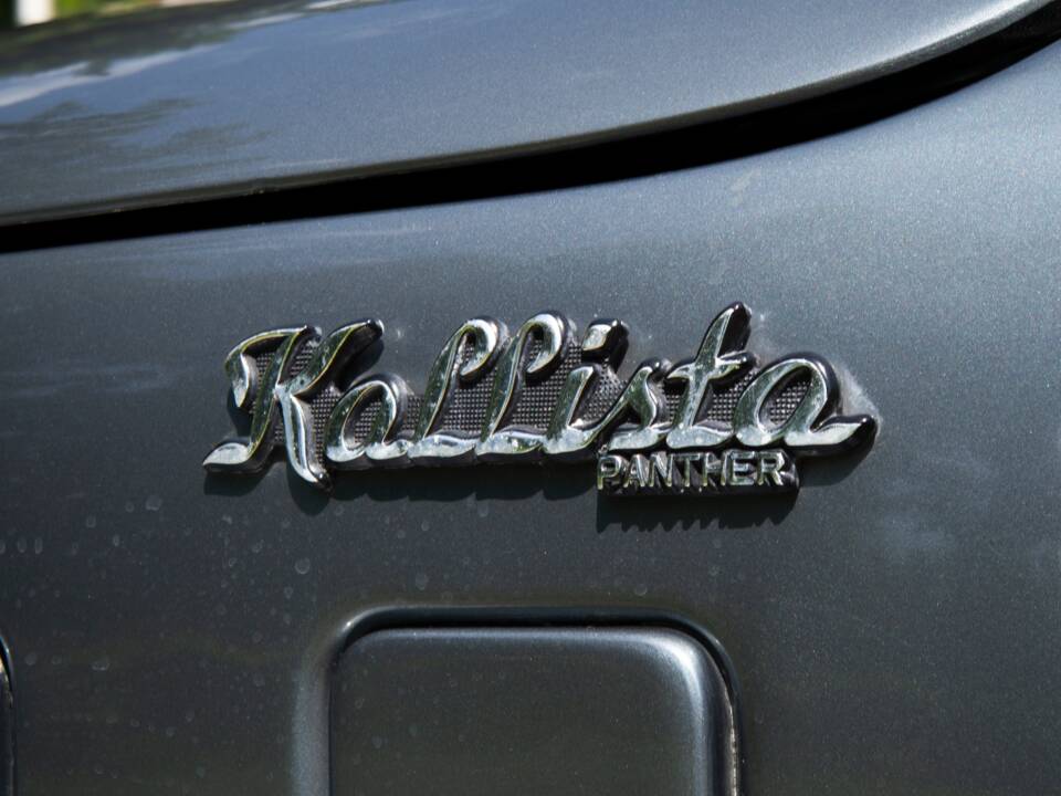 Image 10/31 of Panther Kallista (1989)