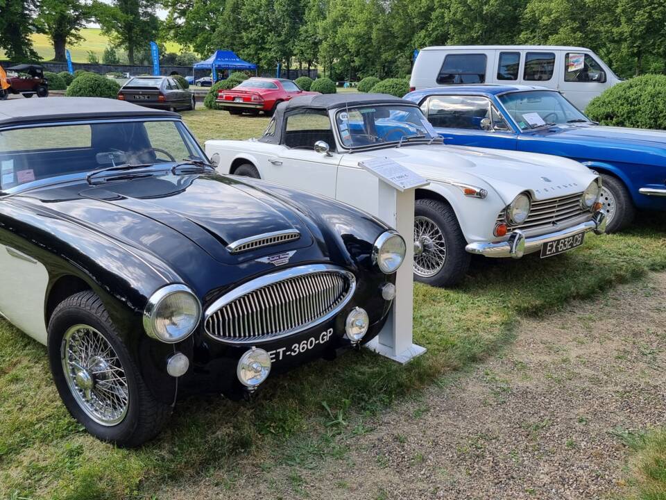 Image 9/11 of Austin-Healey 3000 Mk III (BJ8) (1965)