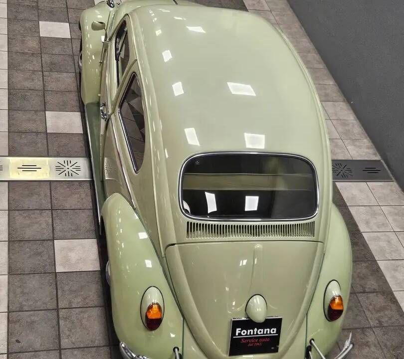 Image 7/15 of Volkswagen Beetle 1200 Standard "Dickholmer" (1963)