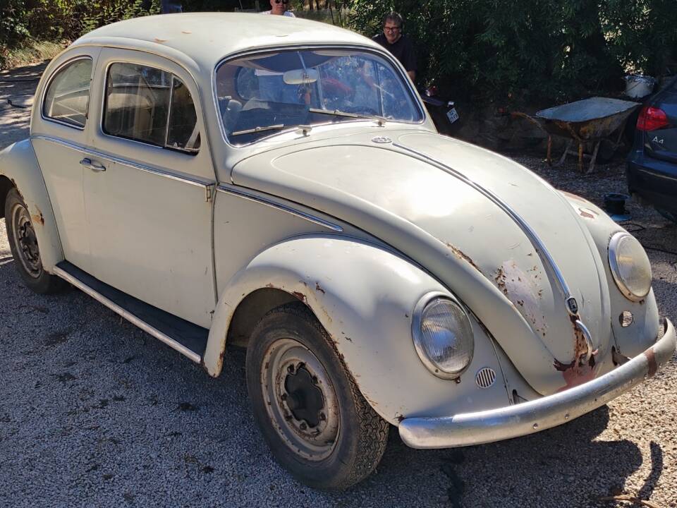 Image 1/24 of Volkswagen Beetle 1200 Standard "Dickholmer" (1959)