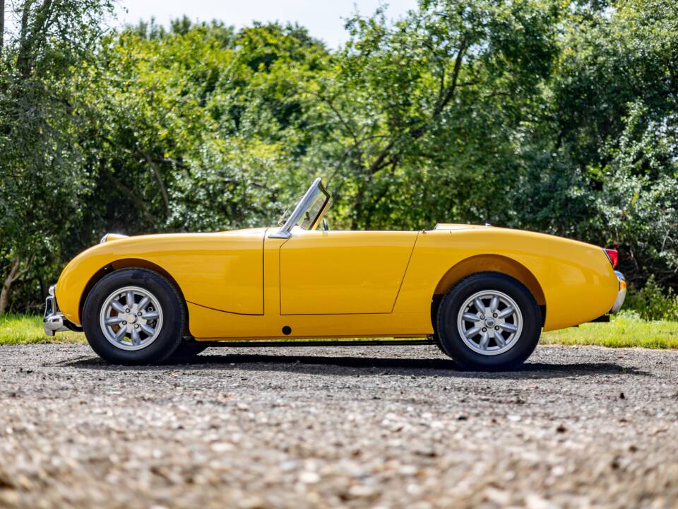 Bild 24/32 von Austin-Healey Sprite Mk I (1961)