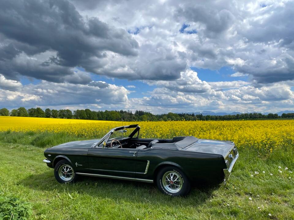 Bild 7/11 von Ford Mustang 289 (1965)