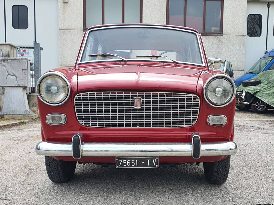 Image 4/39 of FIAT 1100 D (1963)