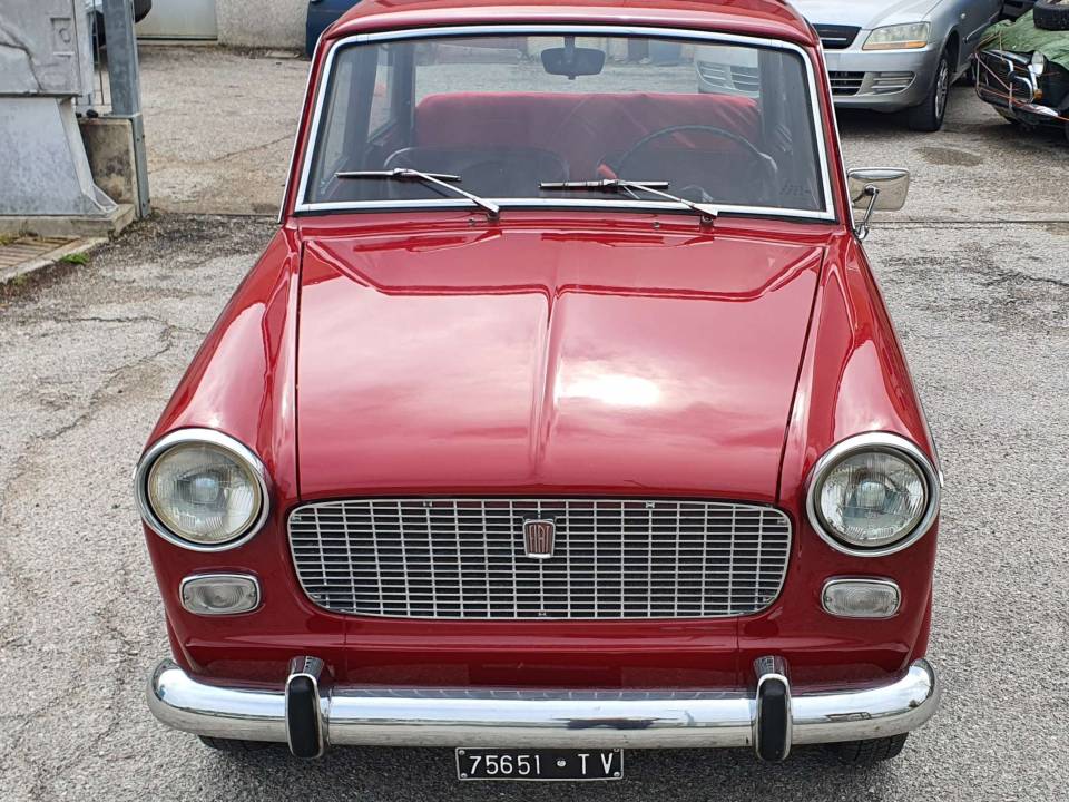 Image 7/39 of FIAT 1100 D (1963)