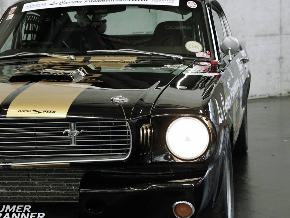 Bild 14/50 von Ford Mustang 289 (1966)