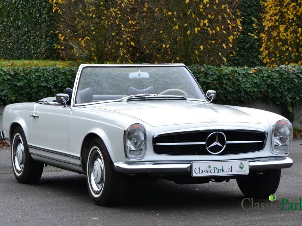Image 19/50 of Mercedes-Benz 250 SL (1966)