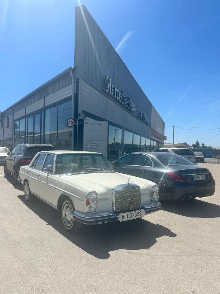 Afbeelding 13/50 van Mercedes-Benz 250 SE (1967)
