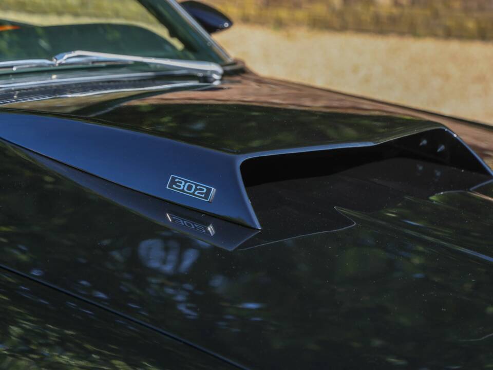 Image 38/50 of Ford Mustang 302 (1969)