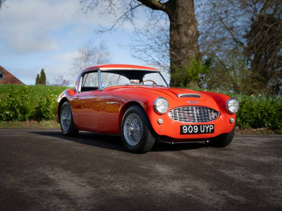 Image 1/27 de Austin-Healey 100/6 (BN4) (1957)