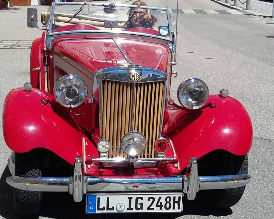 Bild 13/13 von MG TD (1952)