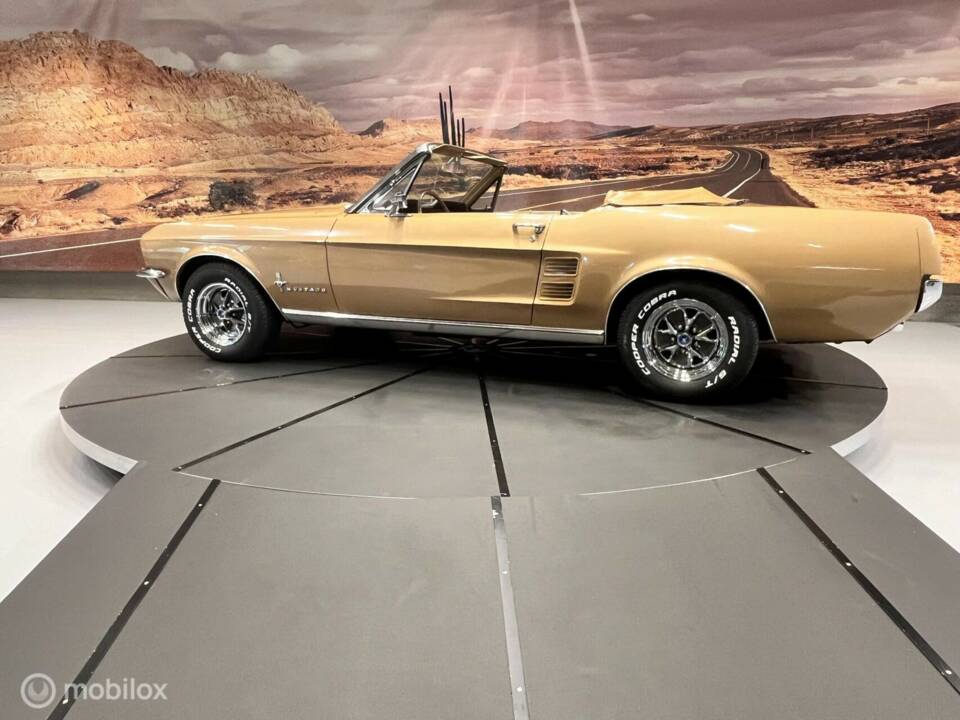 Immagine 7/46 di Ford Mustang 390 (1967)