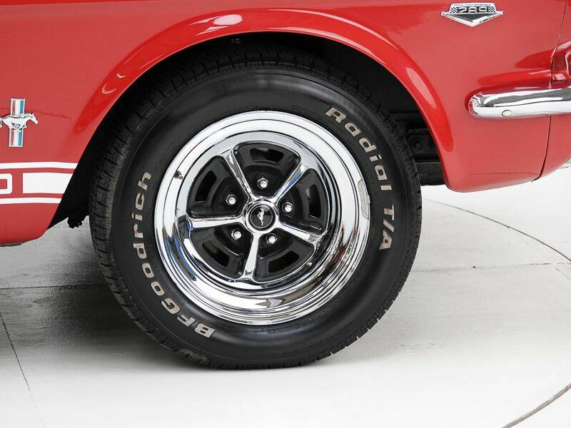 Image 11/15 of Ford Shelby GT 350 (1965)