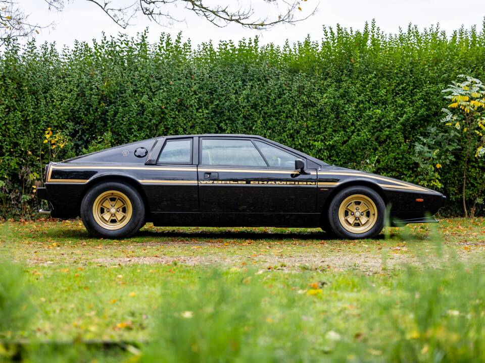 Immagine 19/50 di Lotus Esprit S2 (1979)