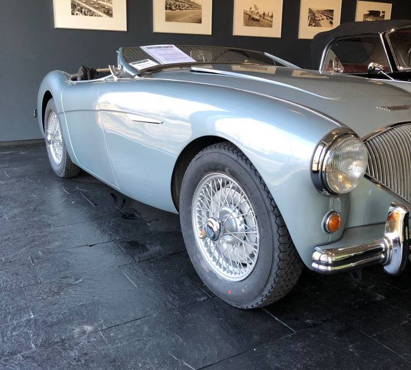 Bild 2/49 von Austin-Healey 100&#x2F;4 (BN1) (1954)