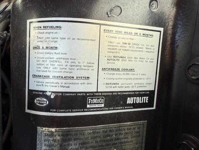 Image 29/31 of Ford Shelby GT 350 (1970)